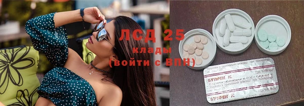 PSILOCYBIN Баксан